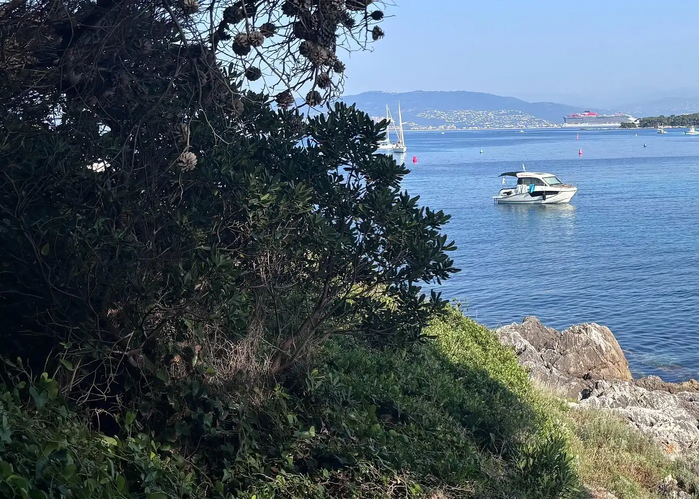 Guests enjoying the private boat tour